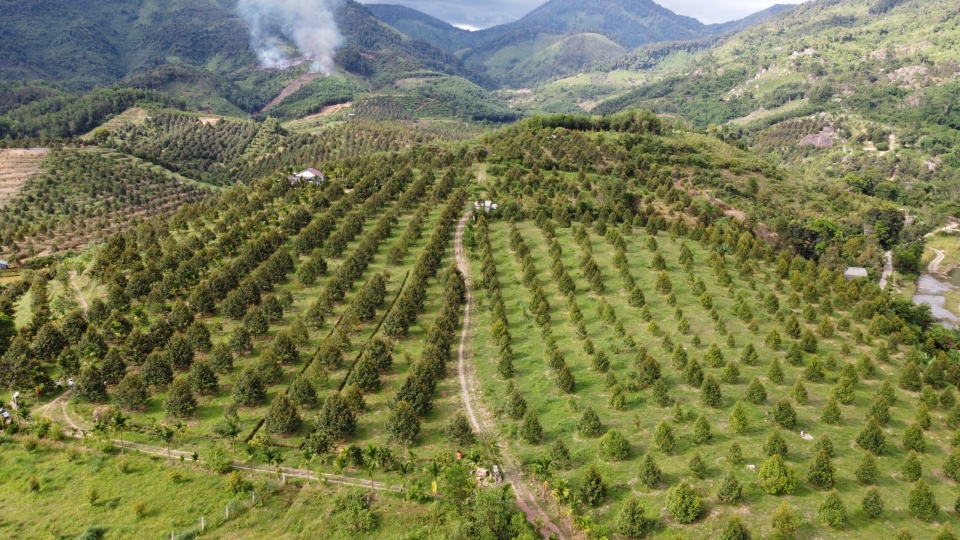 Thu hút đầu tư vào miền núi Khánh Hòa